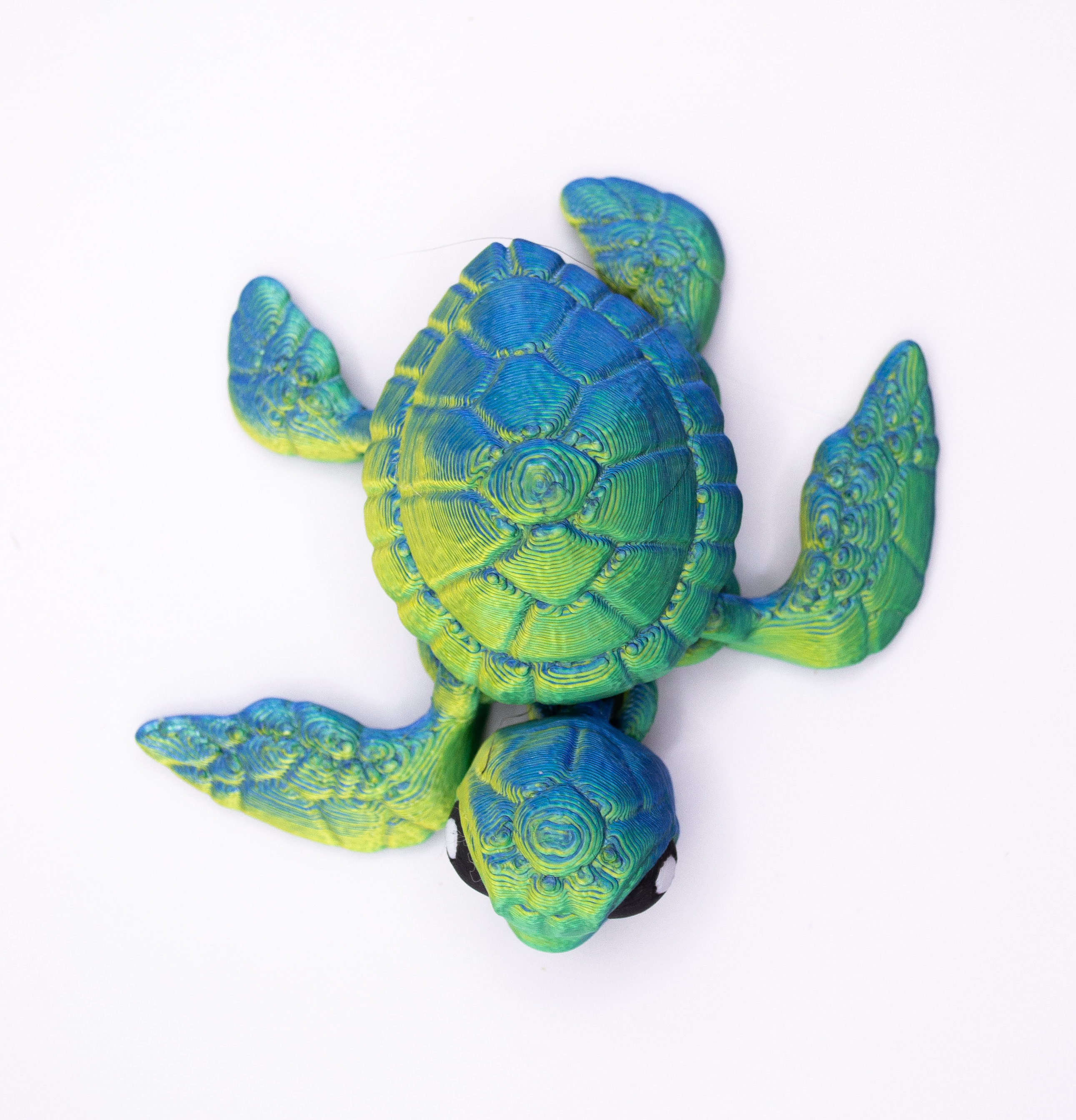 Sea Turtle 